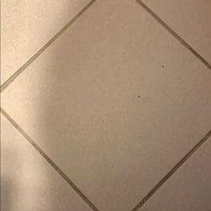 Meet your Posher, Kristin